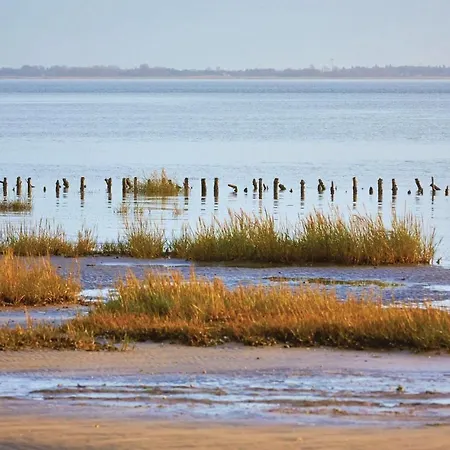 Holiday Romo With Patio 328 * Rømø Kirkeby